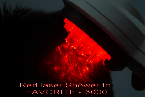 Лазерный душ (810 нм-190 мВт) к «Фаворит-3000»